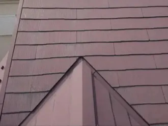 二股に分かれている谷樋